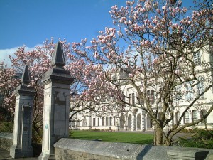 Corso di inglese a Cardiff