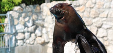 Zoo Parco Punta Verde