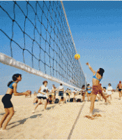 Beach volleyball5