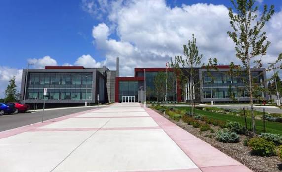 anno-scolastico-hamilton-wentworth-ontario-1 anno-scolastico-hamilton-wentworth-ontario-1