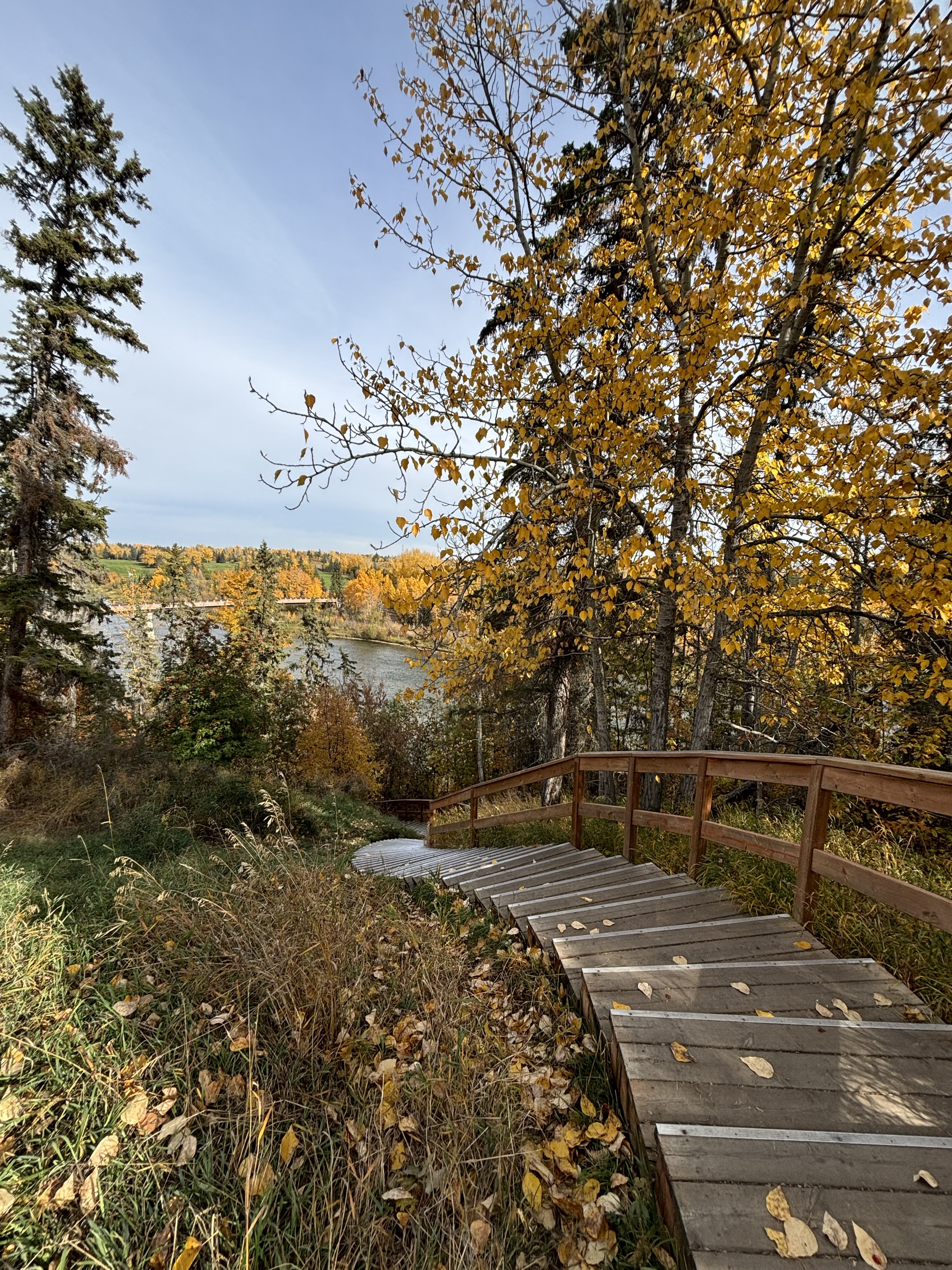 anno-scolastico-red-deer-alberta-9. anno-scolastico-red-deer-alberta-9.